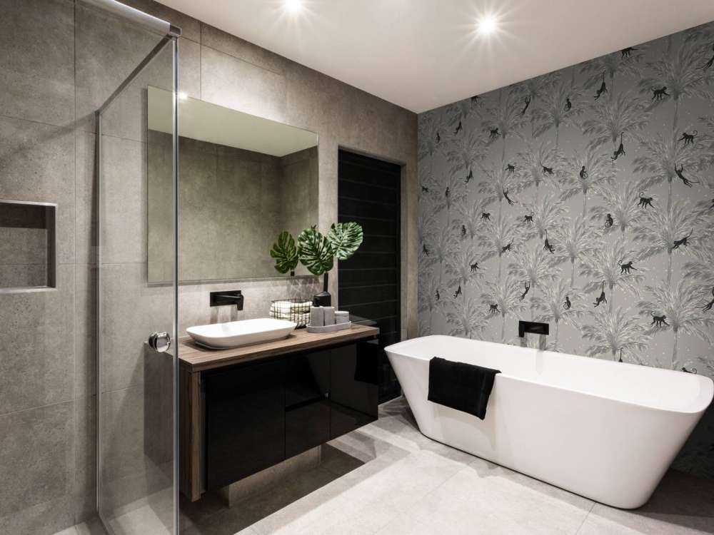 Singes tropicaux - gris