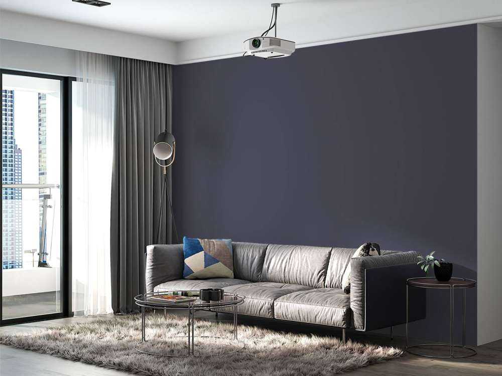 Gris Davy's bleu
