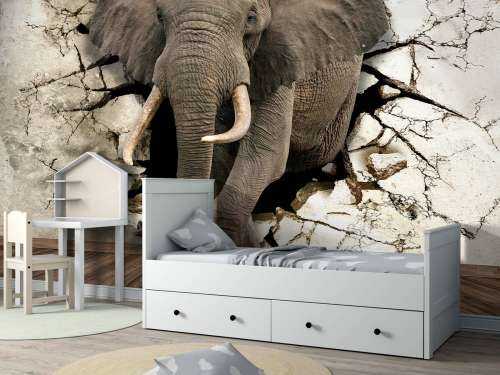 Grand éléphant hors du mur