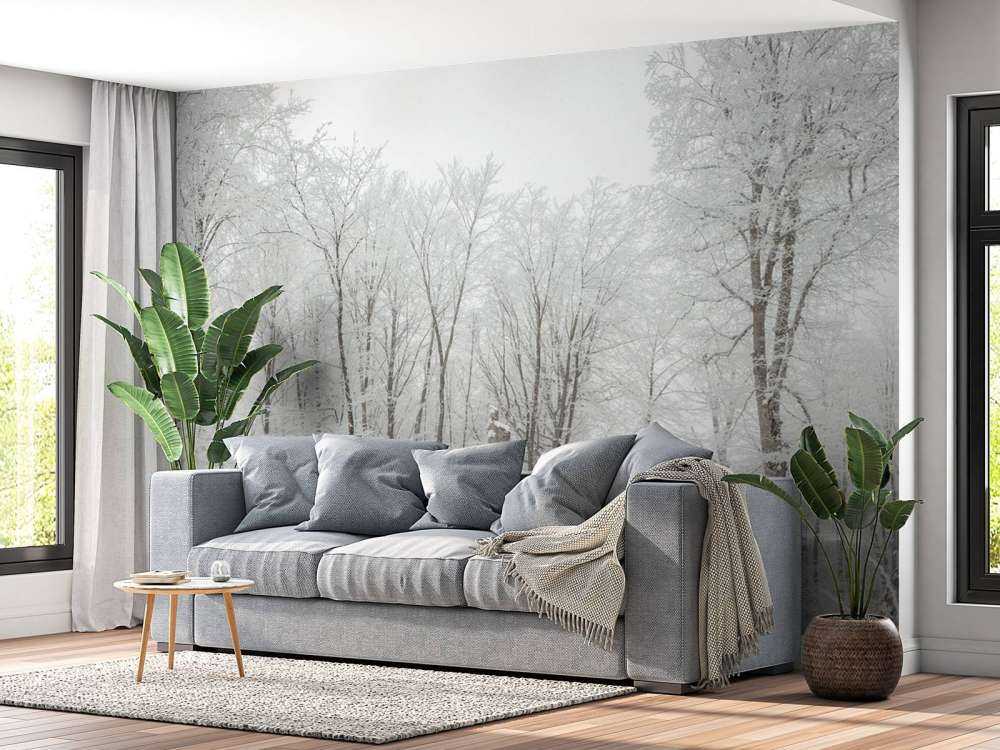 Forêt d'hiver