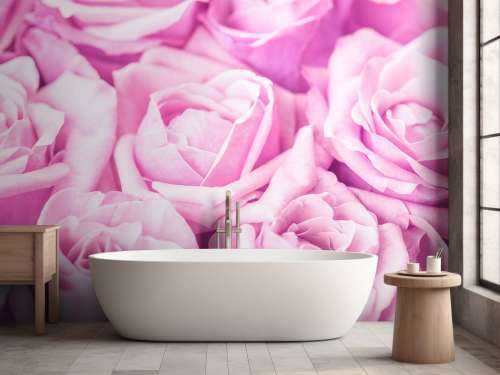 Plusieurs roses roses