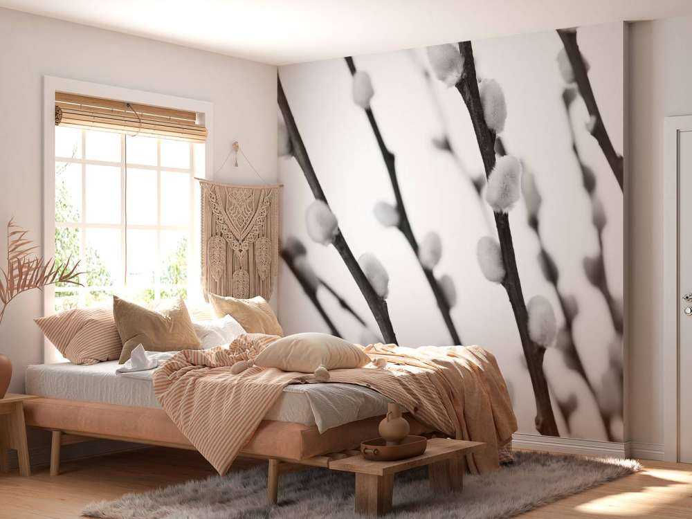 Saule de la forêt en noir et blanc