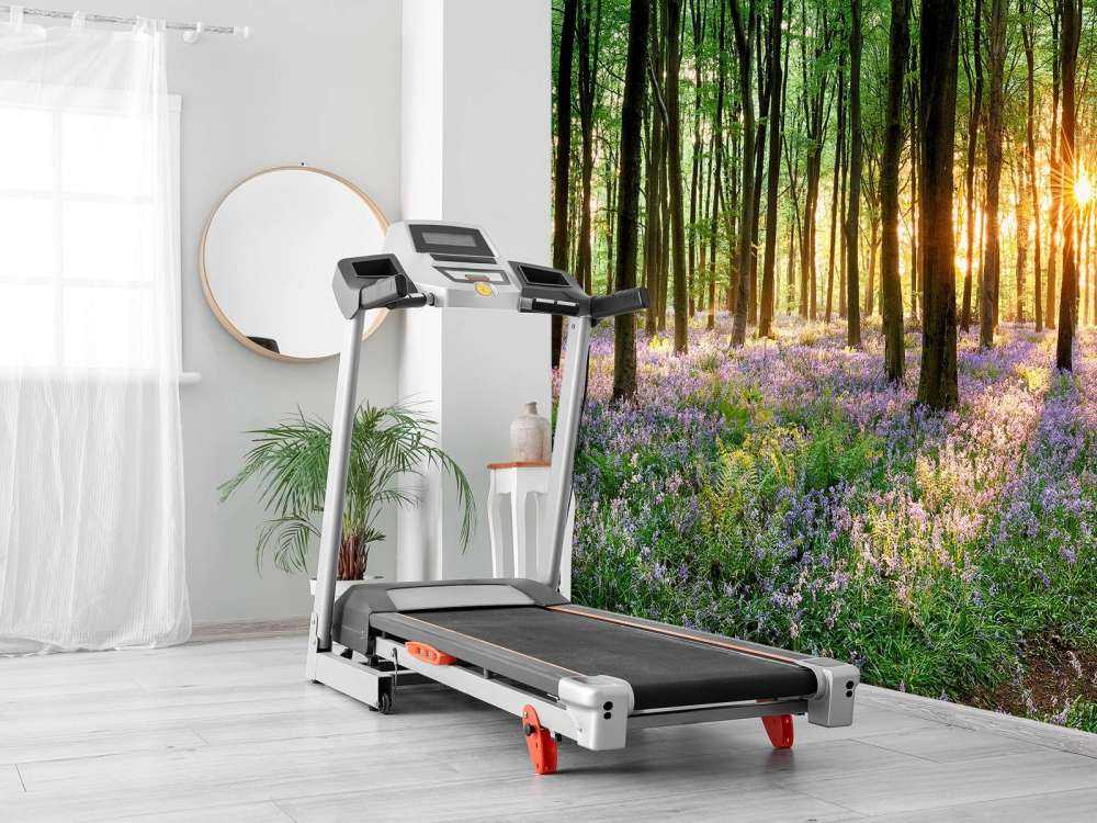 Chemin forestier au lever du soleil