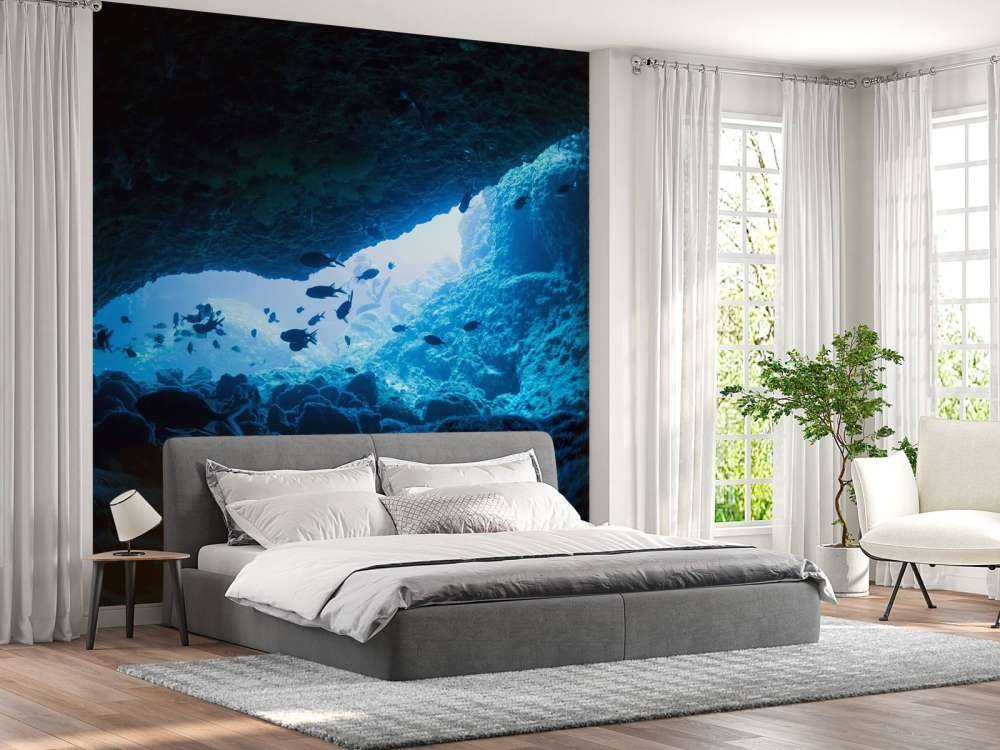 Grotte étroite avec des poissons