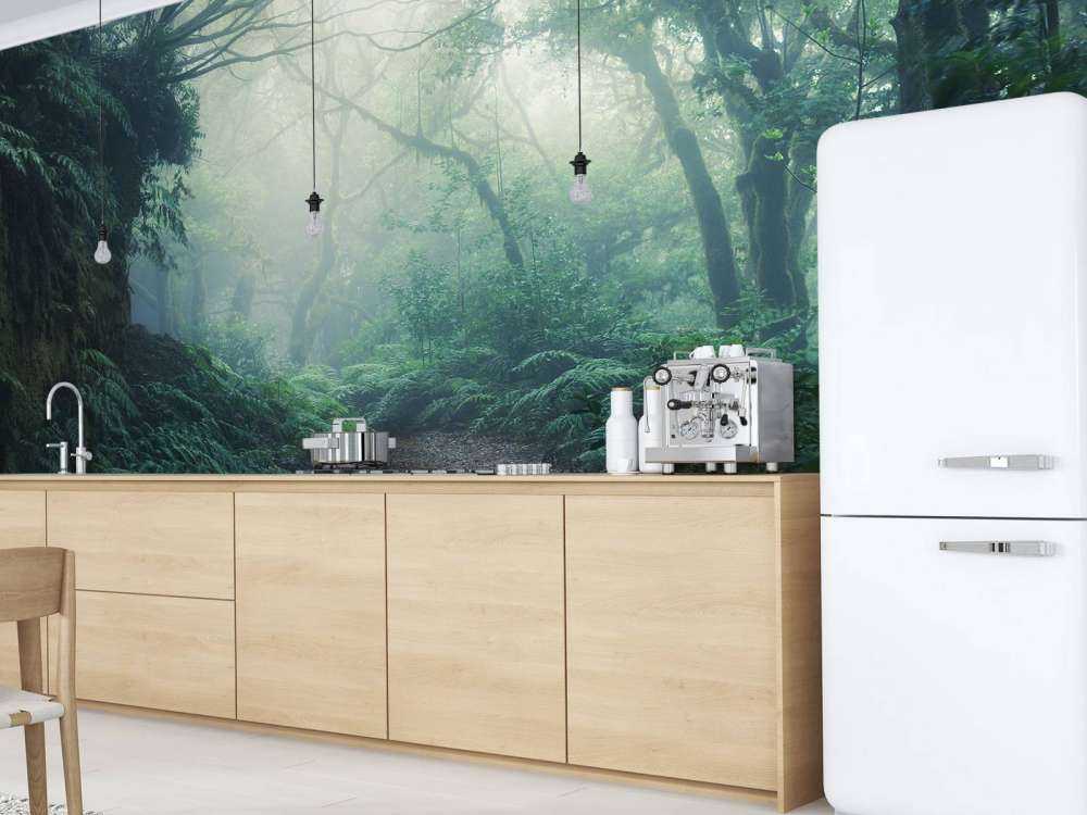 Forêt verte et brumeuse