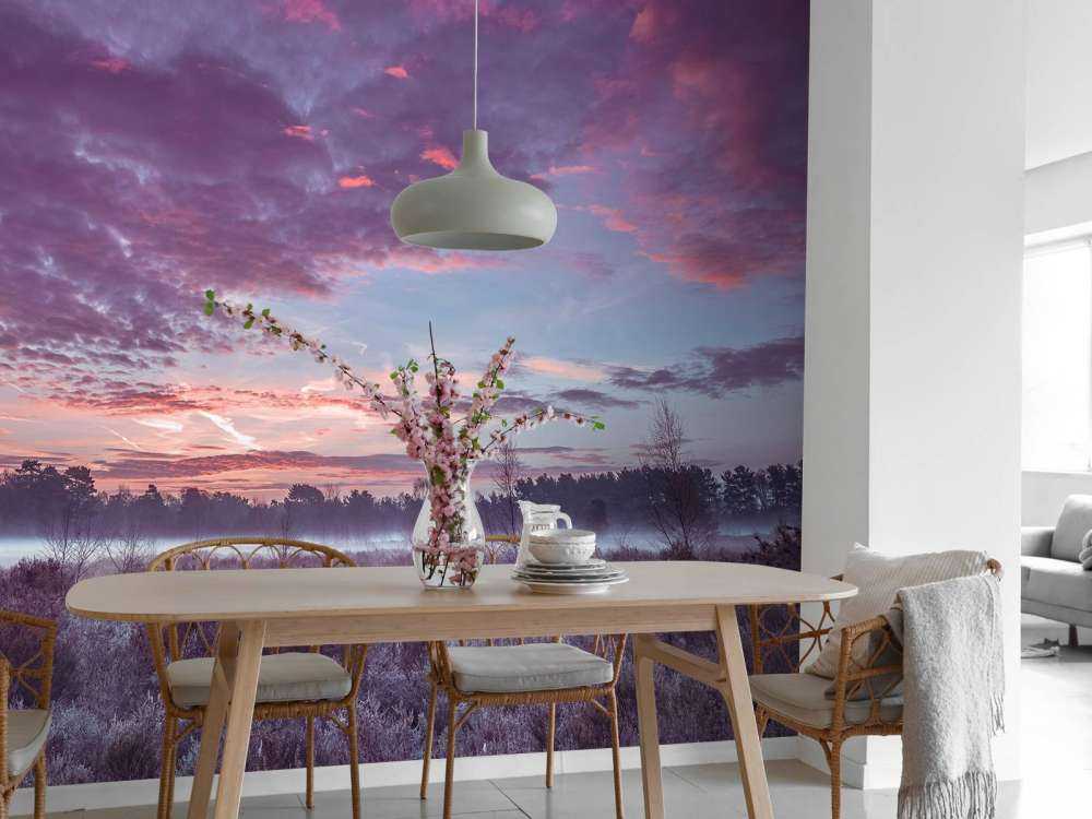 Prairie sous un ciel nuageux