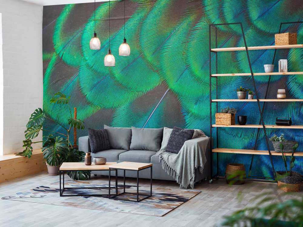 Gros plan sur des plumes de paon