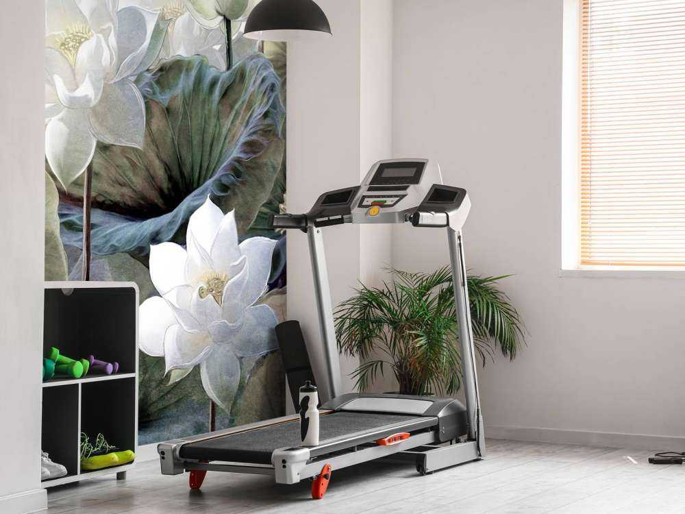 Fleurs de lotus pittoresques