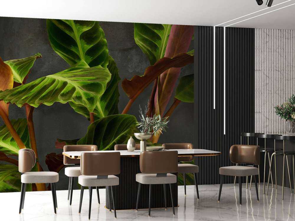 Plante avec de belles feuilles vertes