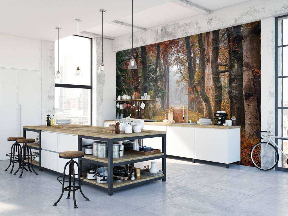 Chemin forestier avec de vieux arbres