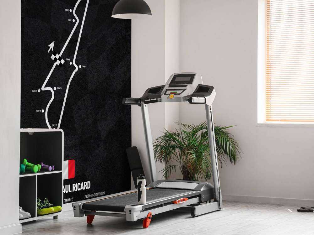 Circuit de Formule 1 - Circuit Paul Ricard - France