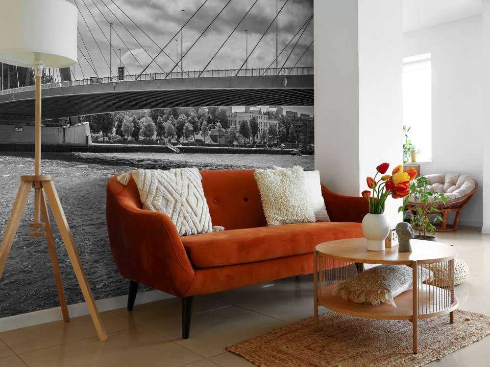 Le passage du pont Prince Willem Alexander à Rotterdam en noir et blanc  