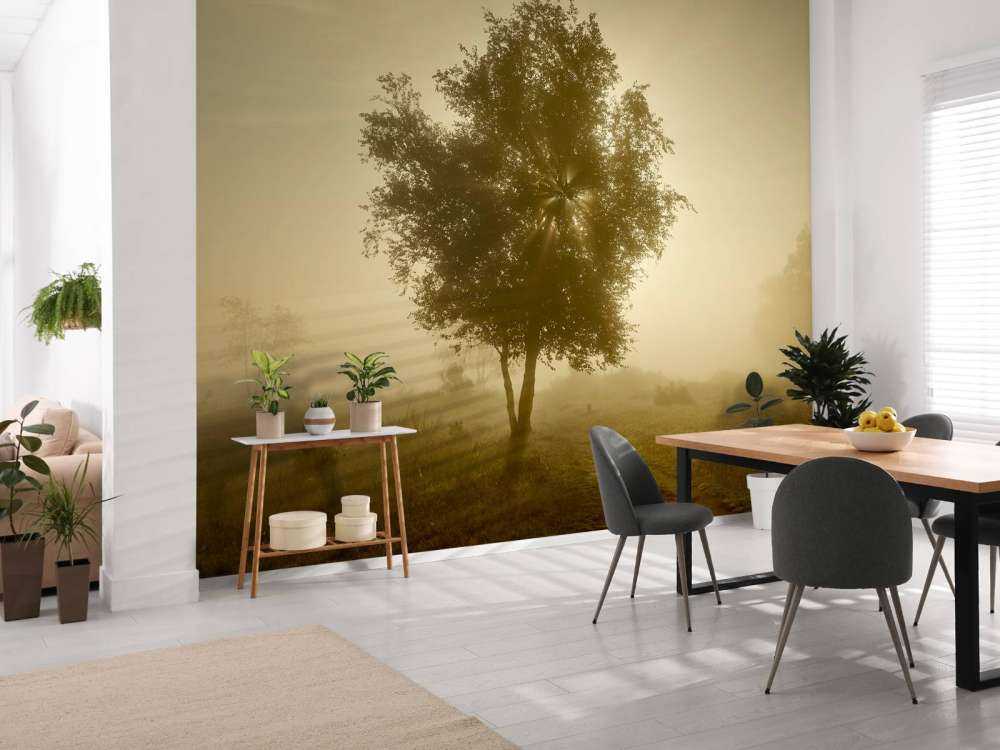 Lever de soleil doré