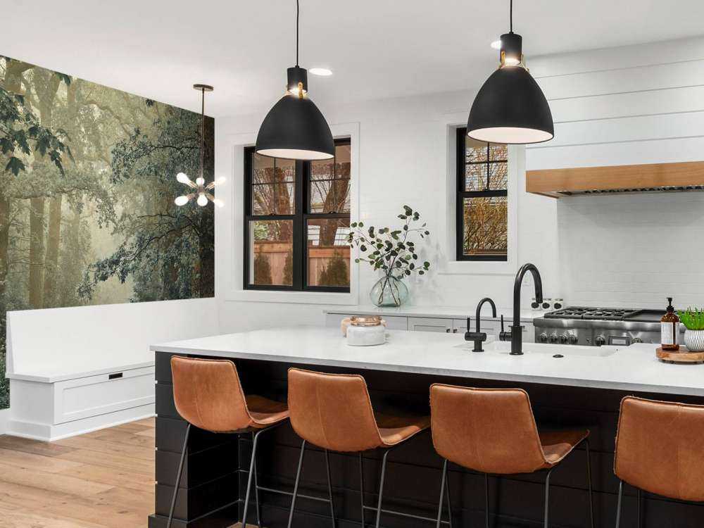 Chemin à travers la forêt avec du brouillard