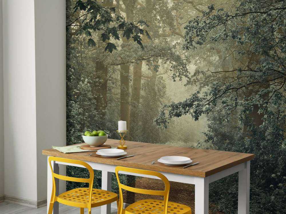 Chemin à travers la forêt avec du brouillard