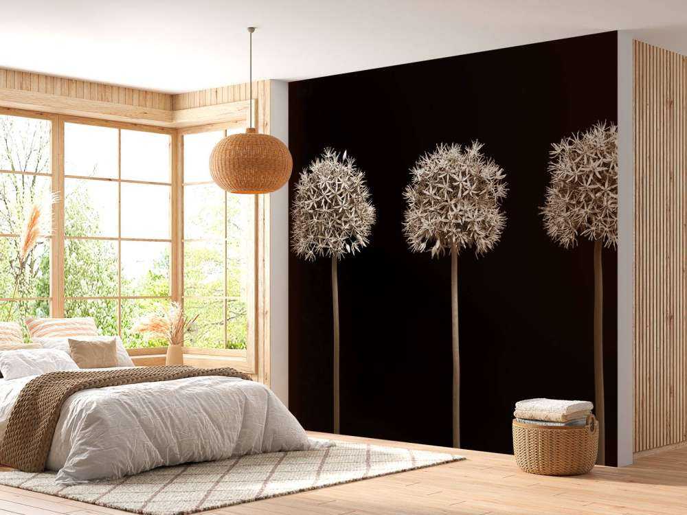 Trois fleurs d'allium en ligne