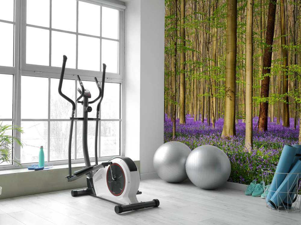 Forêt avec jacinthes des bois