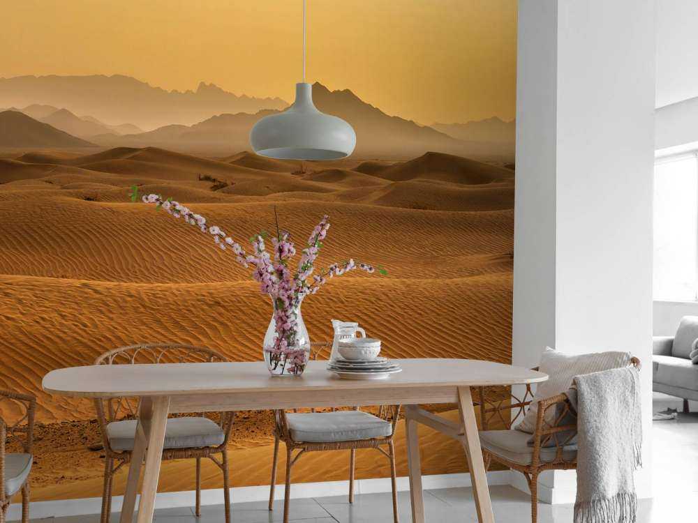 Un désert en ruines