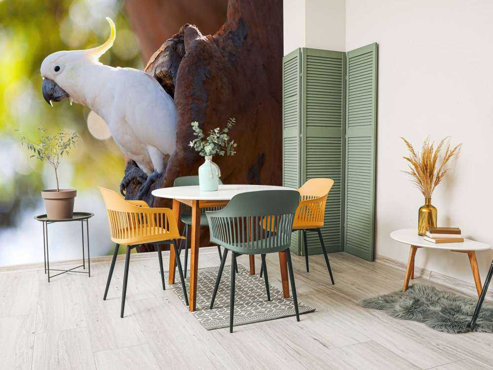 Cacatoès dans la cavité d'un arbre