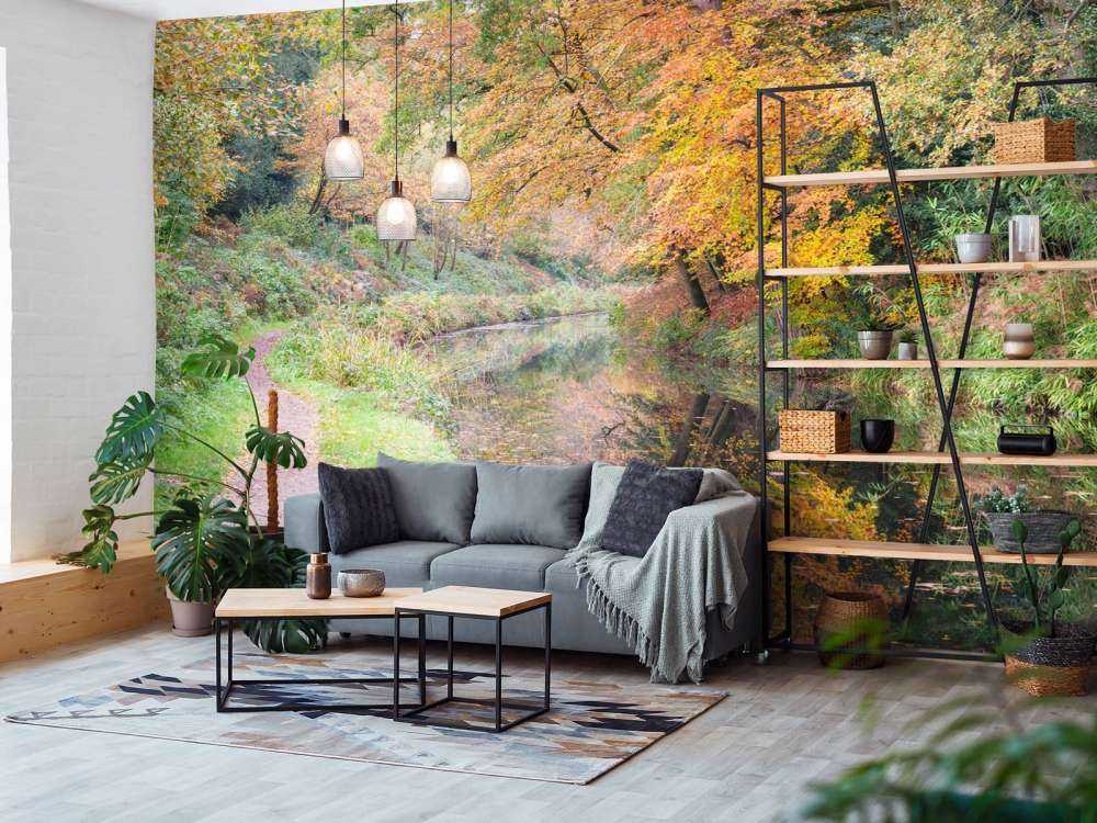 Chemin le long du canal