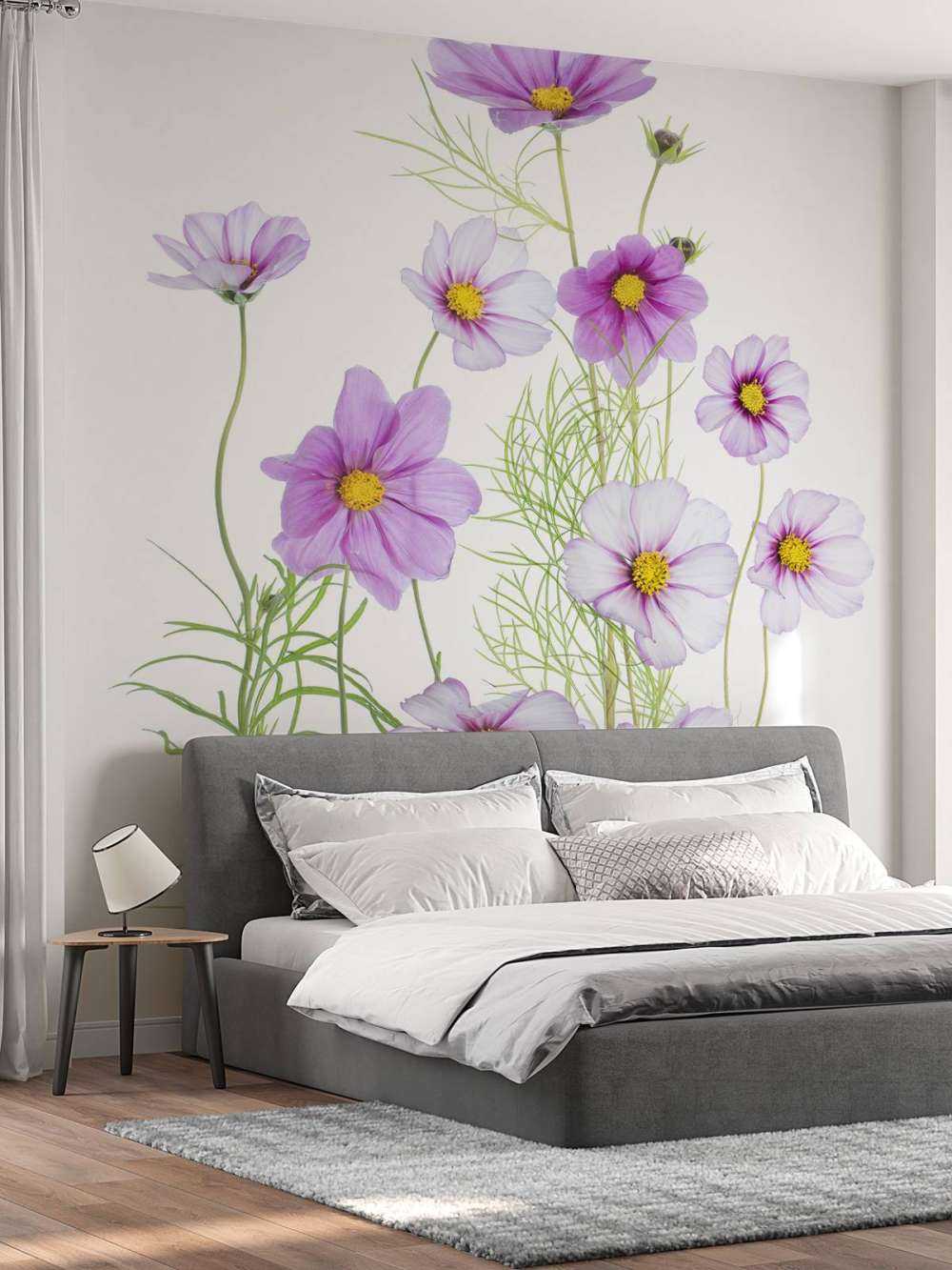 Cosmos Comfort
