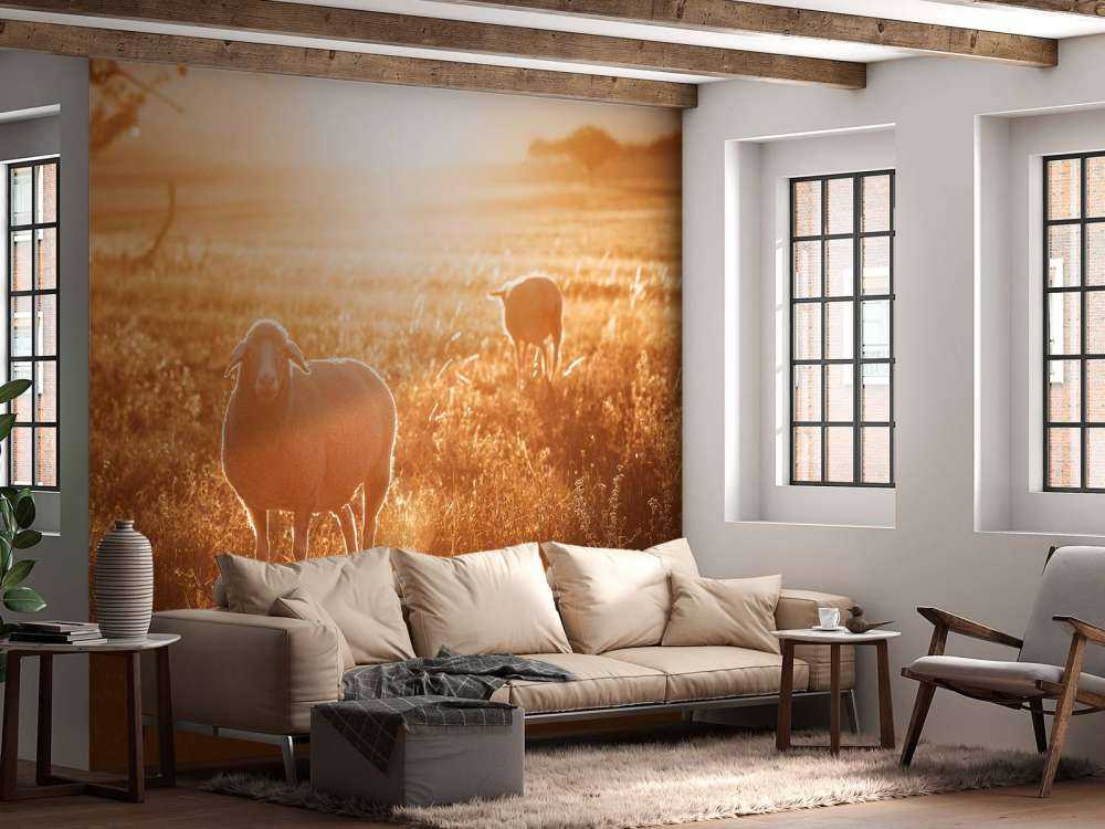 Moutons dans un beau pâturage