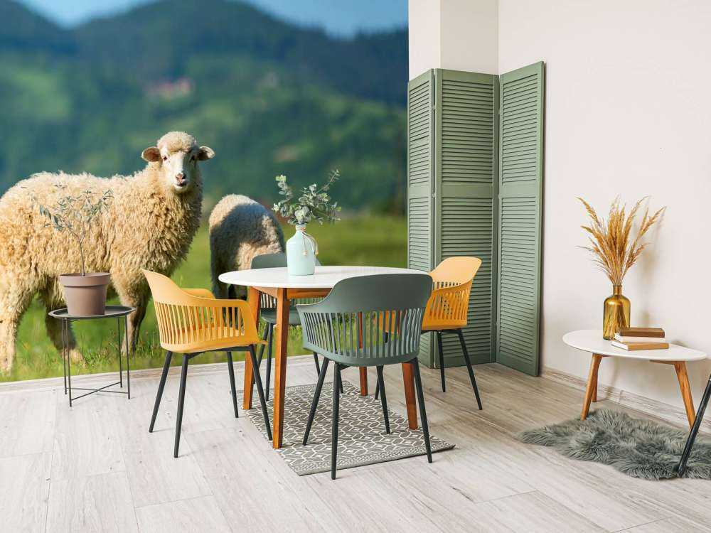 Deux moutons dans un pré