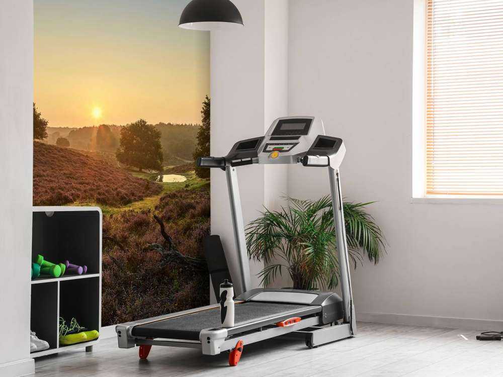 Flaque d'eau sur la lande