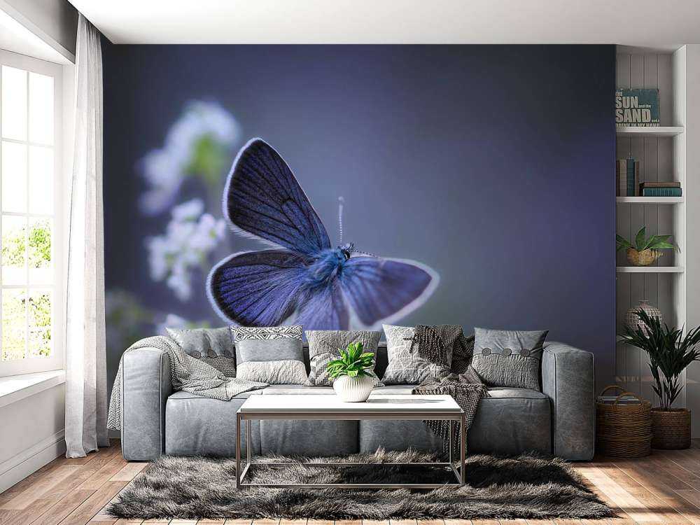 Papillon bleu