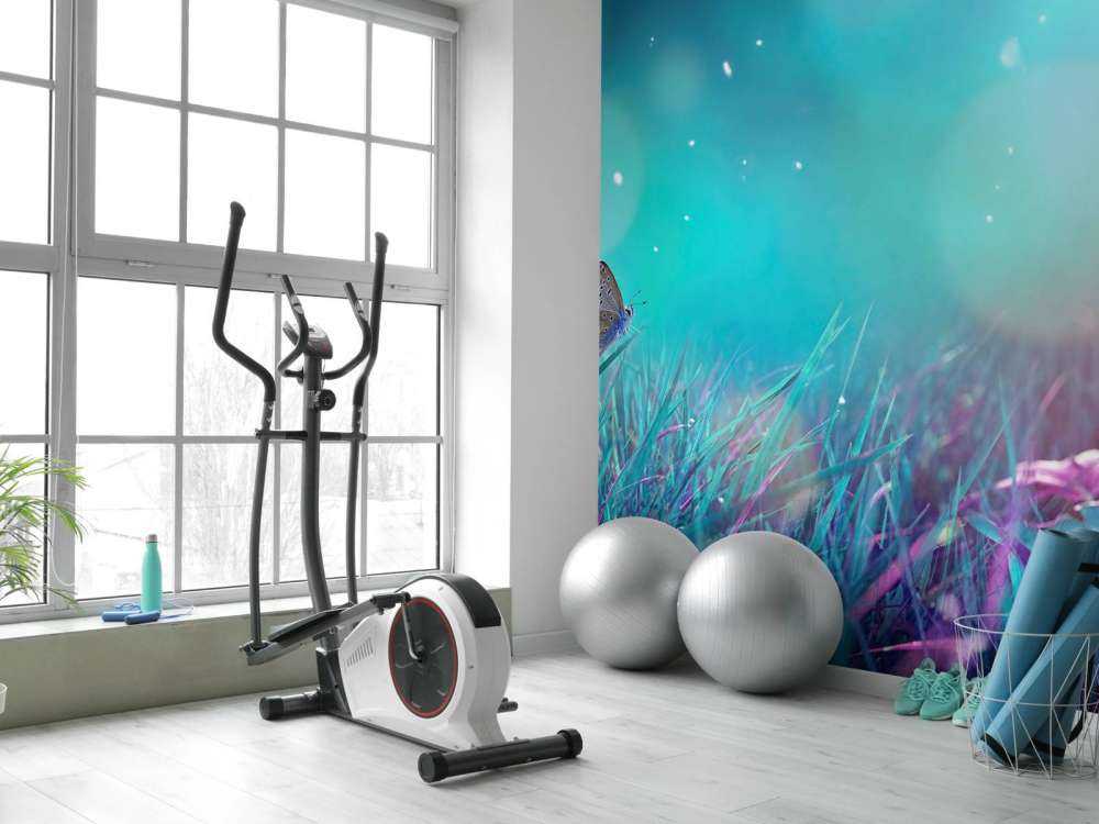 Papillon dans la rosée du matin