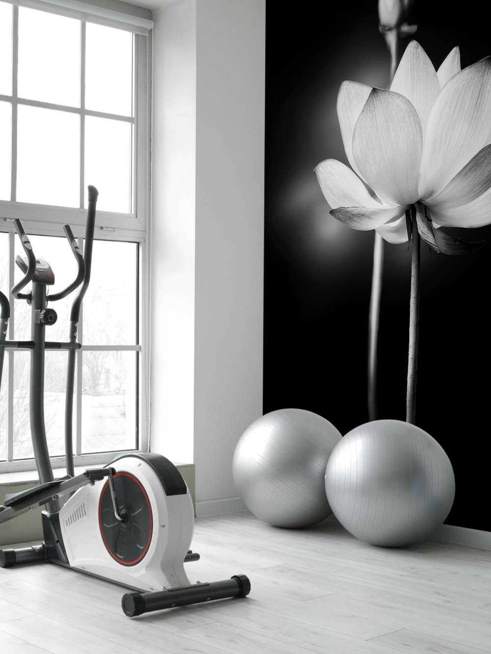 Fleurs de lotus en noir et blanc