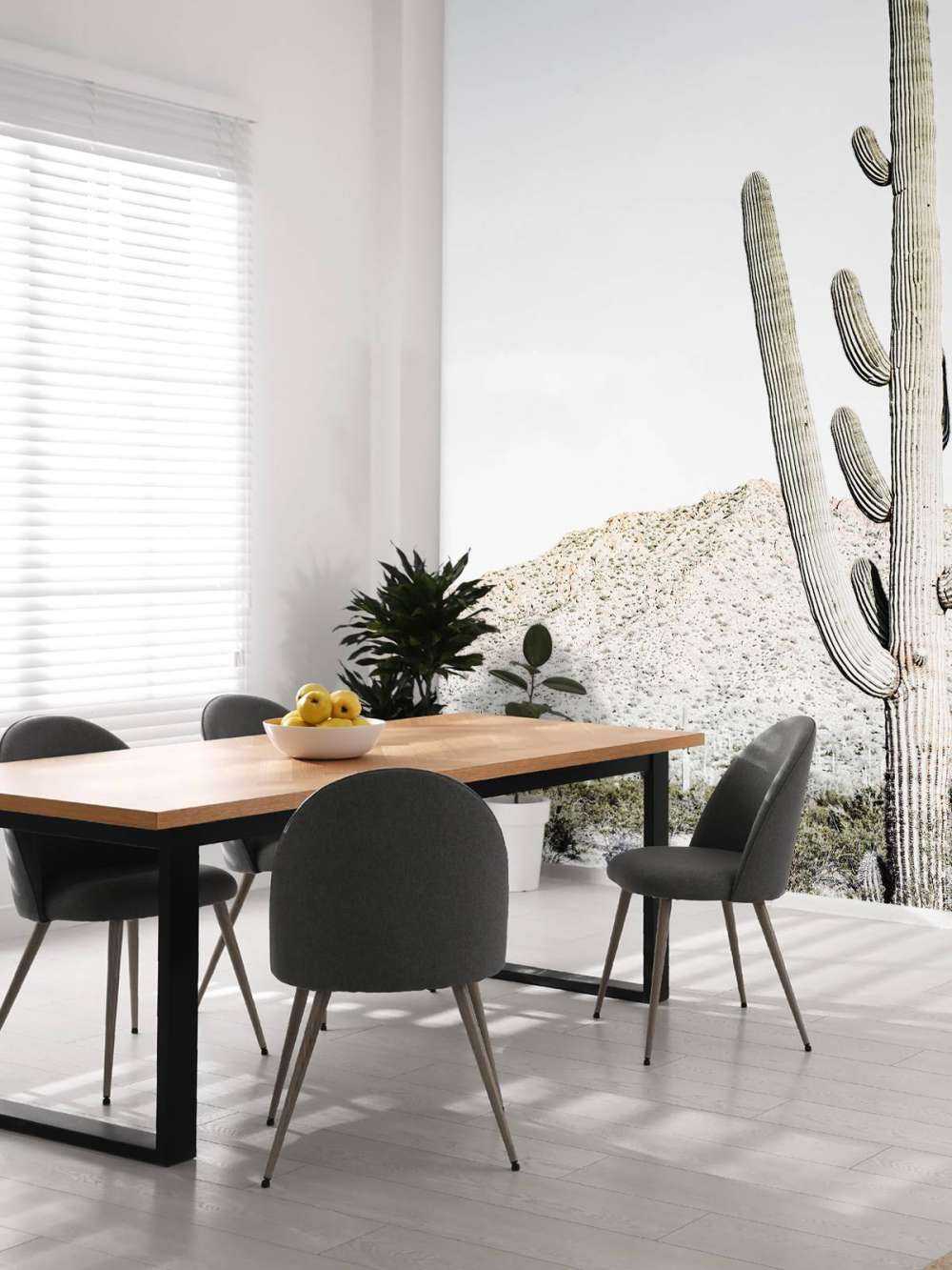 Le cactus haut