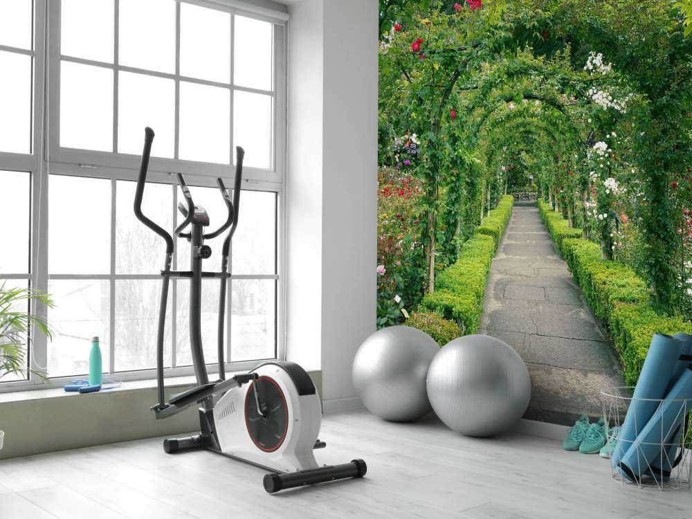 Chemin à travers la roseraie