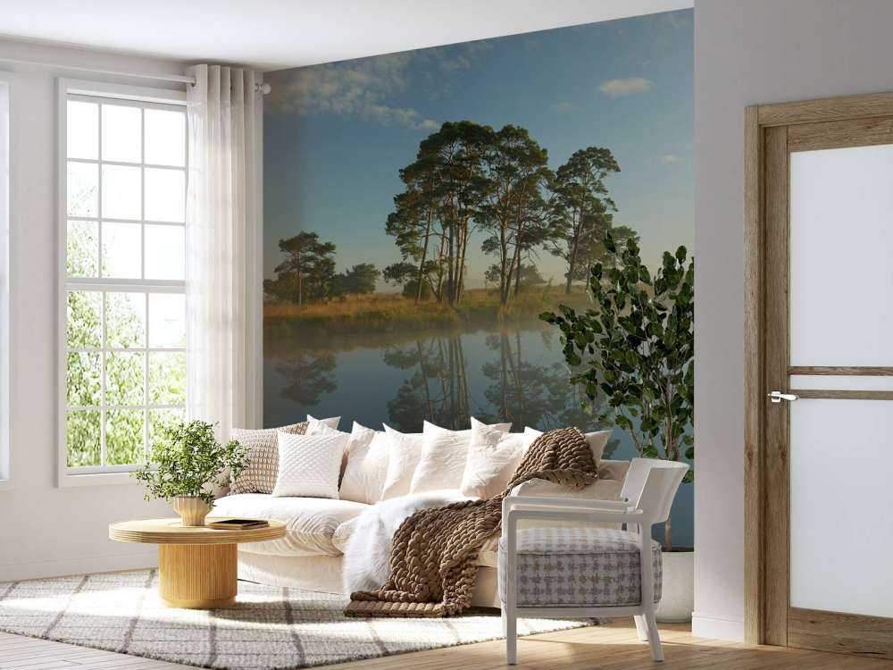 Réflexion dans la lande