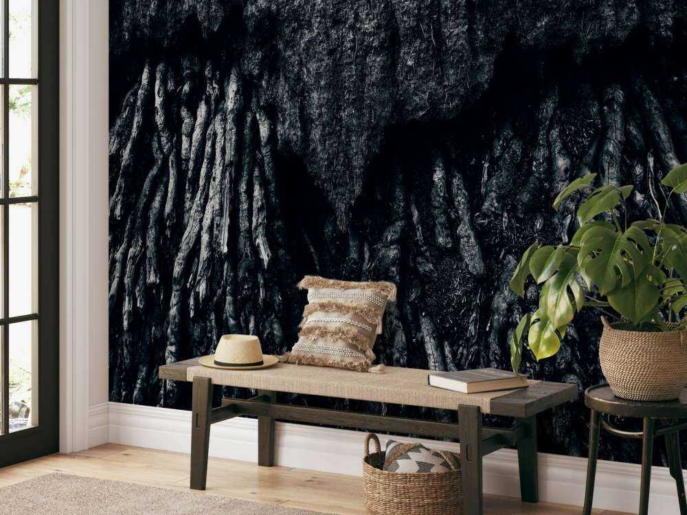 L'arbre, en noir et blanc