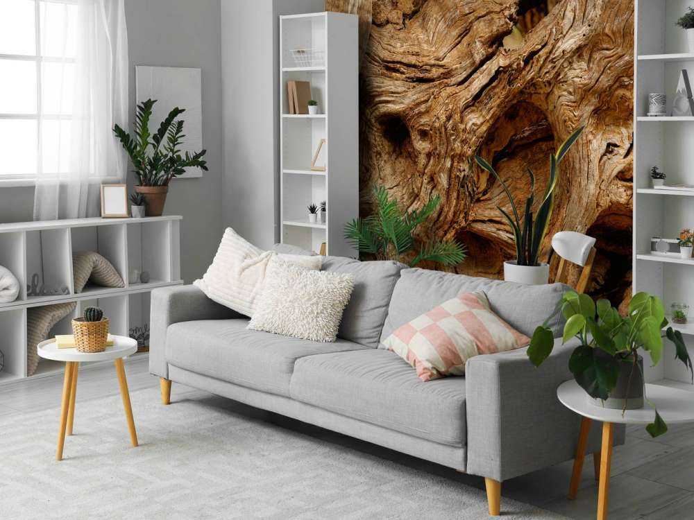 Gros plan sur un vieil arbre