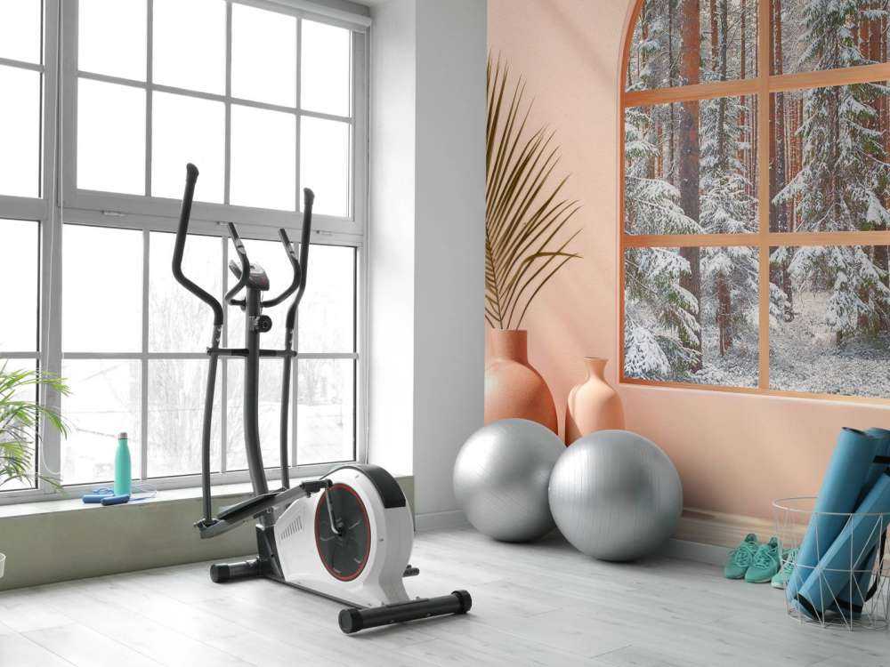 Silence neigeux dans la forêt de pins