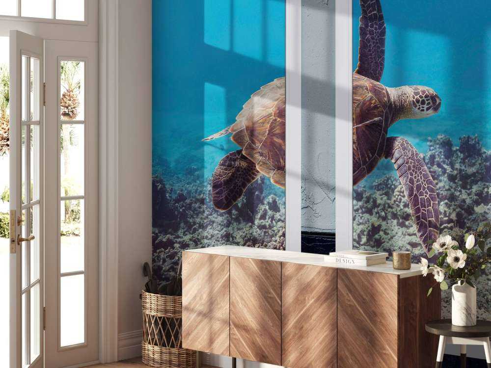 Tortue de mer au-dessus du récif corallien