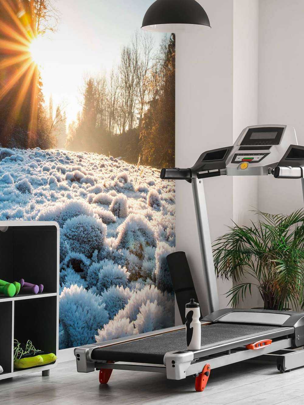 Matin glacial dans la forêt d'hiver