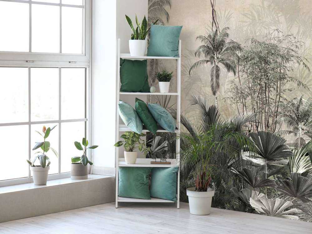 Forêt tropicale dans le brouillard