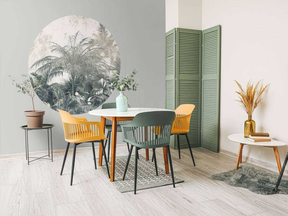 Forêt tropicale mystique