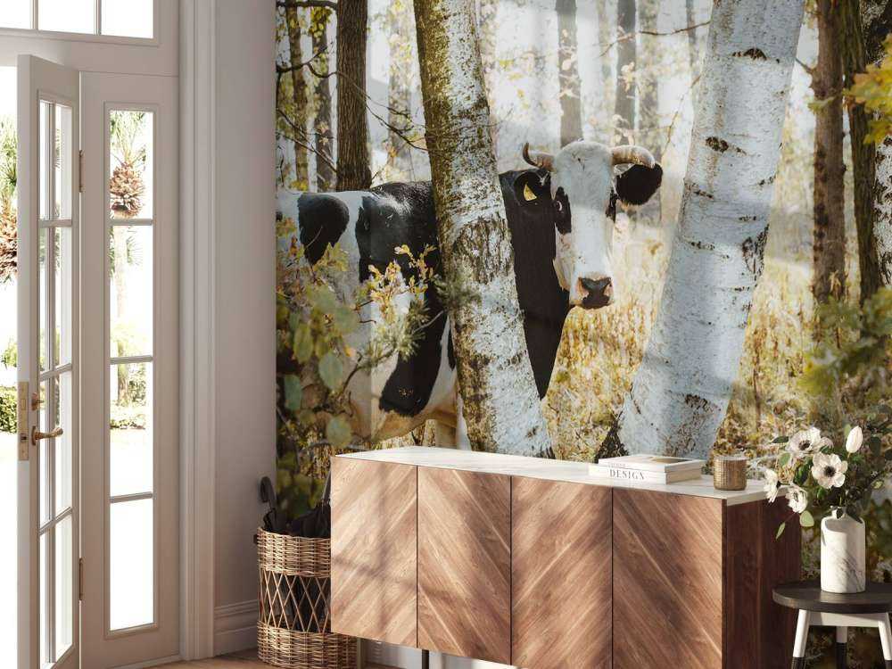 Vache curieuse dans la forêt