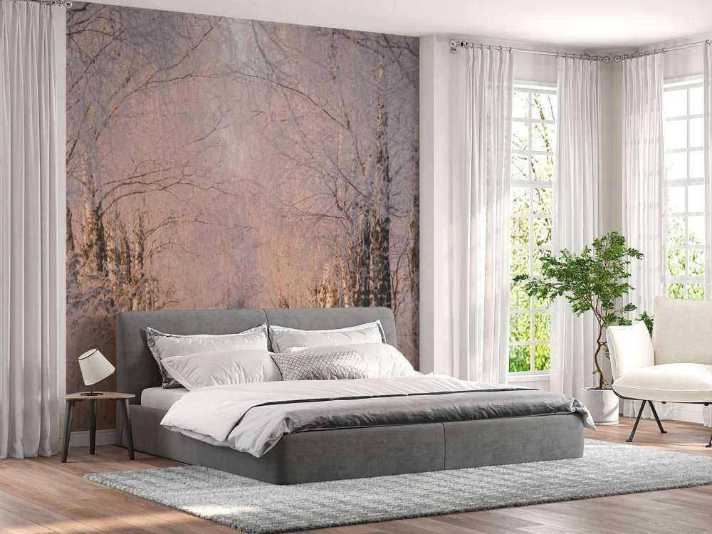 Bomenrij dans la brume d'hiver