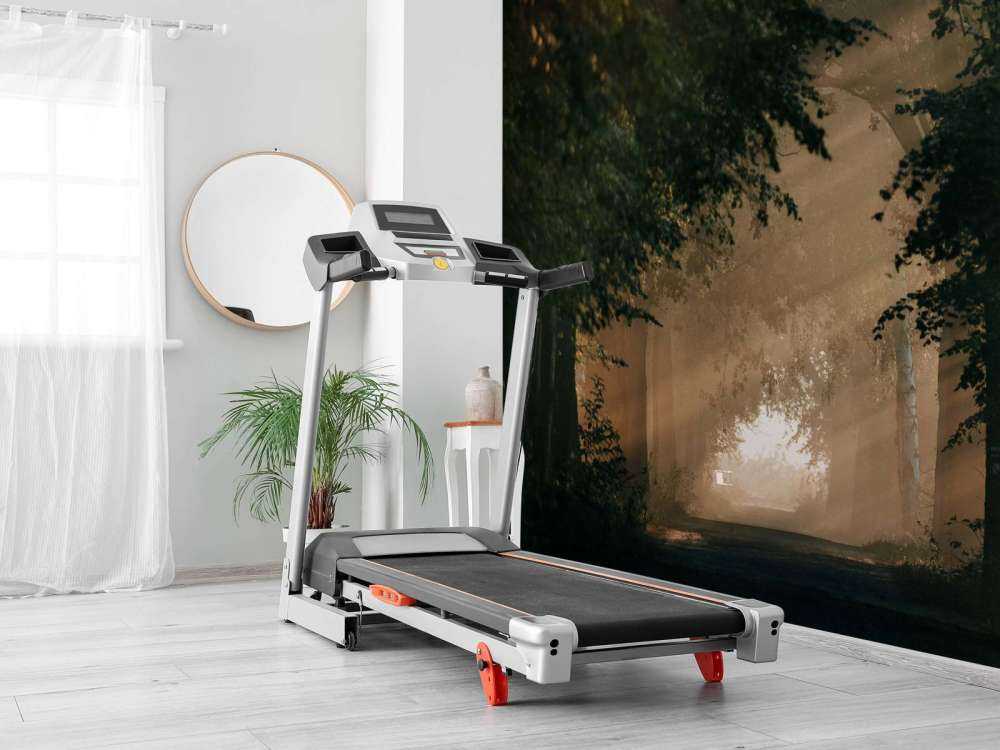 Lumière dorée dans la forêt