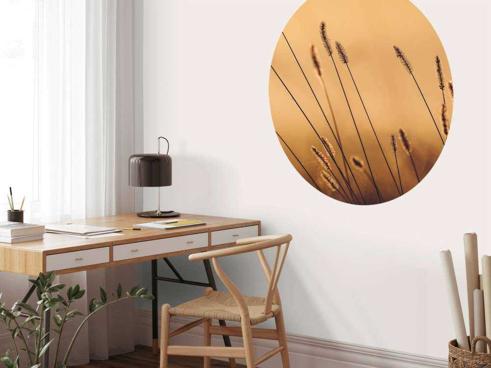 Herbe Murmurante dans le Soleil du Matin