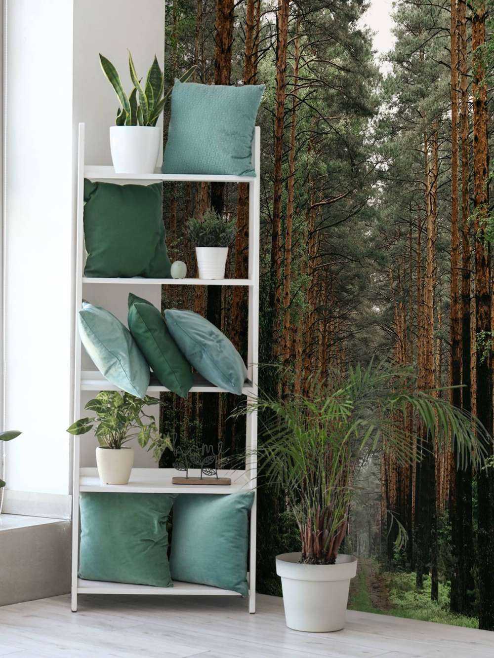 Symétrie de la Forêt