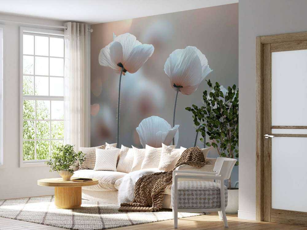 Coquelicots blancs dans la lumière du matin