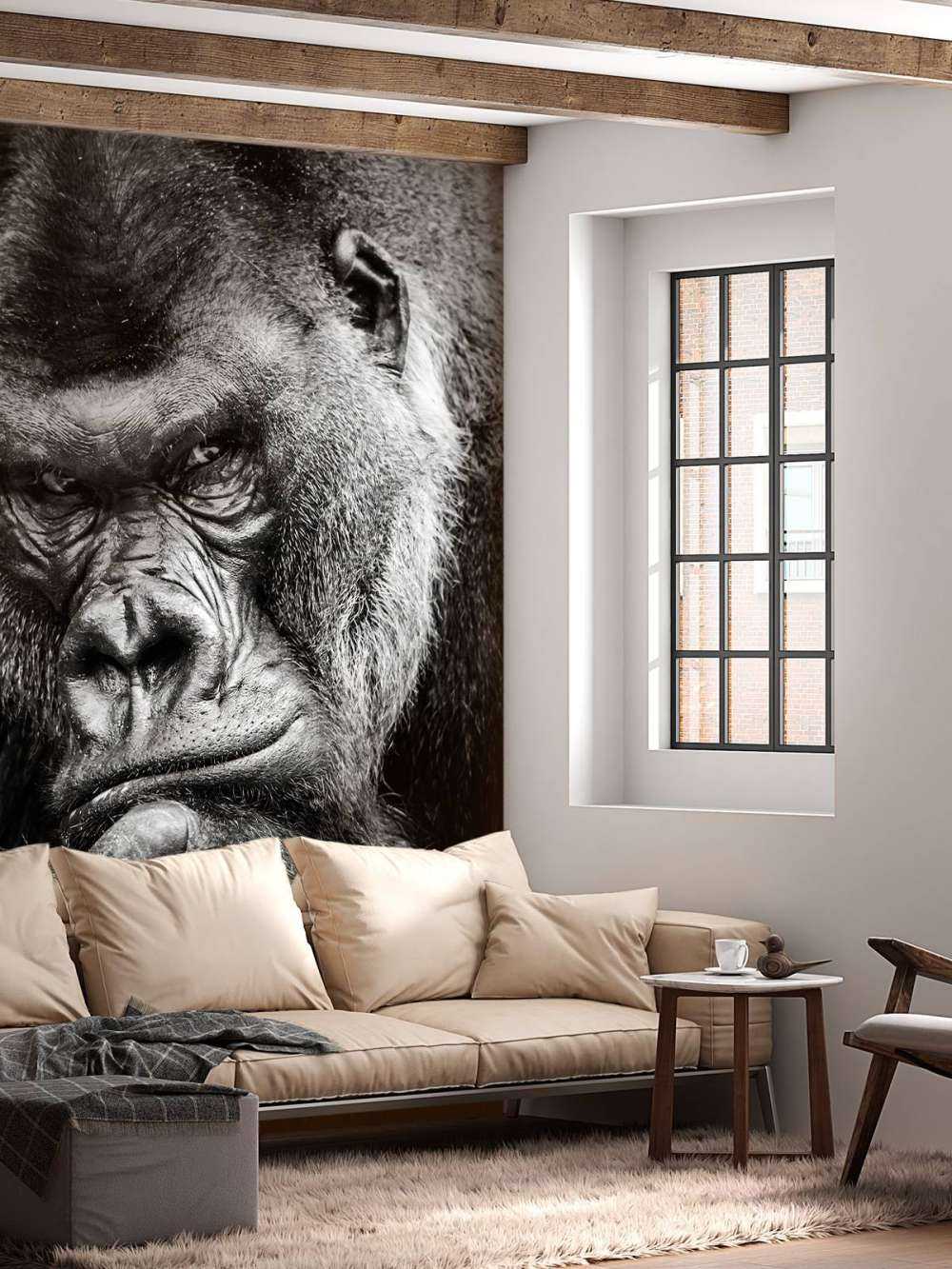 Gros plan d'un gorille