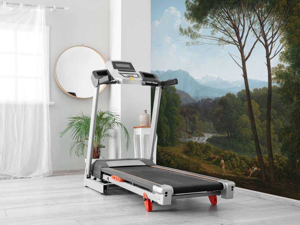 Paysage italien avec des pins