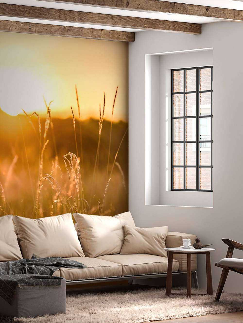 Coucher de soleil entre les grains